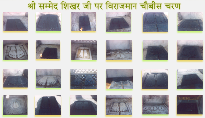 24 Tirthankar, Symbol, Pad Chinha