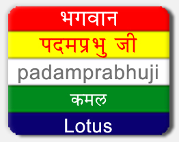 Padamprabhuji Tirthankar, Padamprabhuji Symbol Lotus