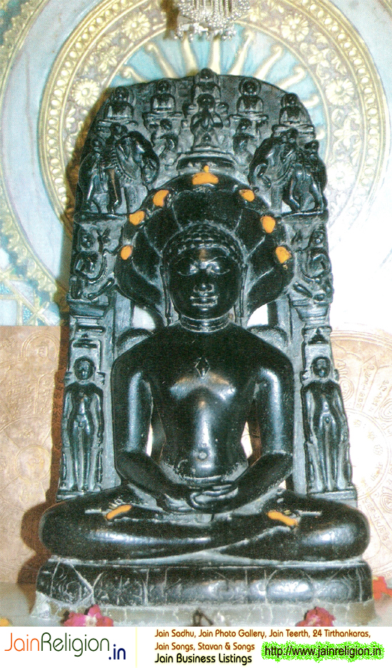 Shree Andeshwar Parshwanath Digambar Jain Aitshay Kshetra, Kalinjar, Banswara, Rajasthan