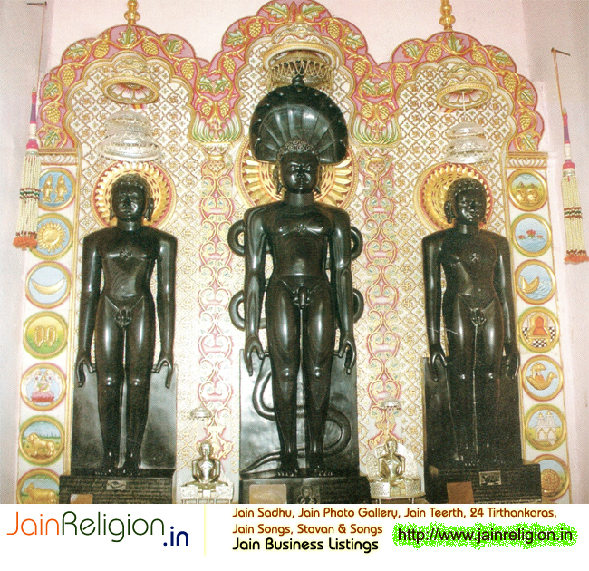 Shree Parshwanath Digambar Jain Teerth Kshetra Nasiyaji Dadawadi, Kota, Rajasthan