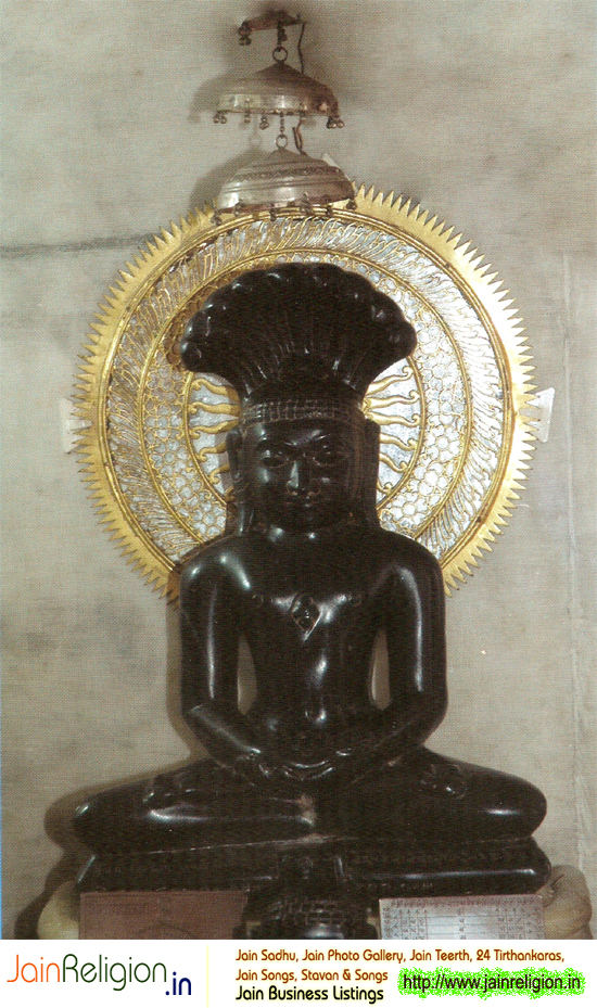 Shree Sankat Mochan Bhagwan Parshwanath Digambar Jain Atishay Kshetra Aahu, Dhar, Madhya Pradesh