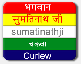 Sumatinatnathji Tirthankar, Sumatinathji Symbol Curlew