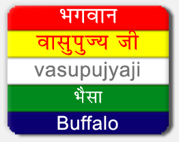 Vasupujyaji Tirthankar, Vasupujyaji Symbol Buffalo